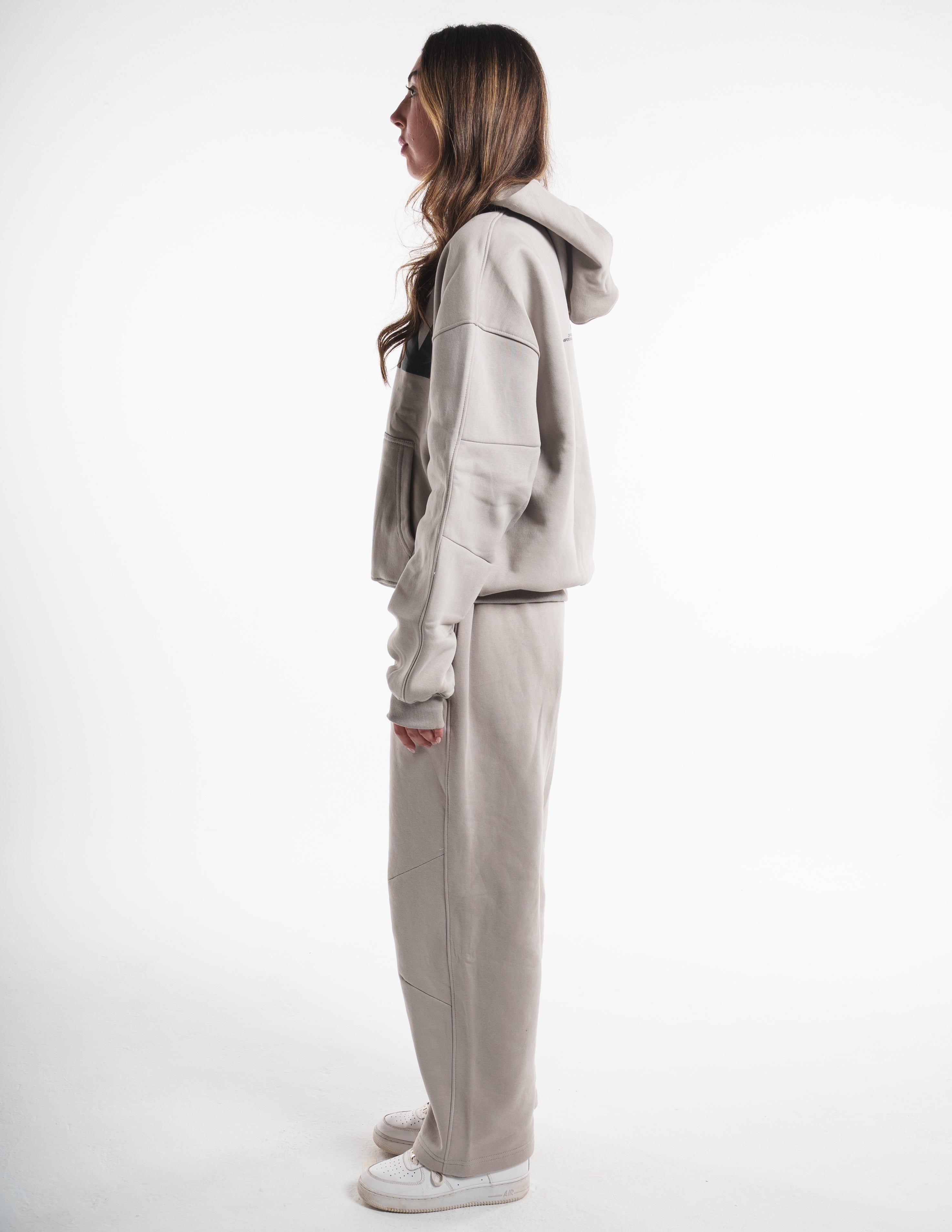 BRIO V1 Hoodie