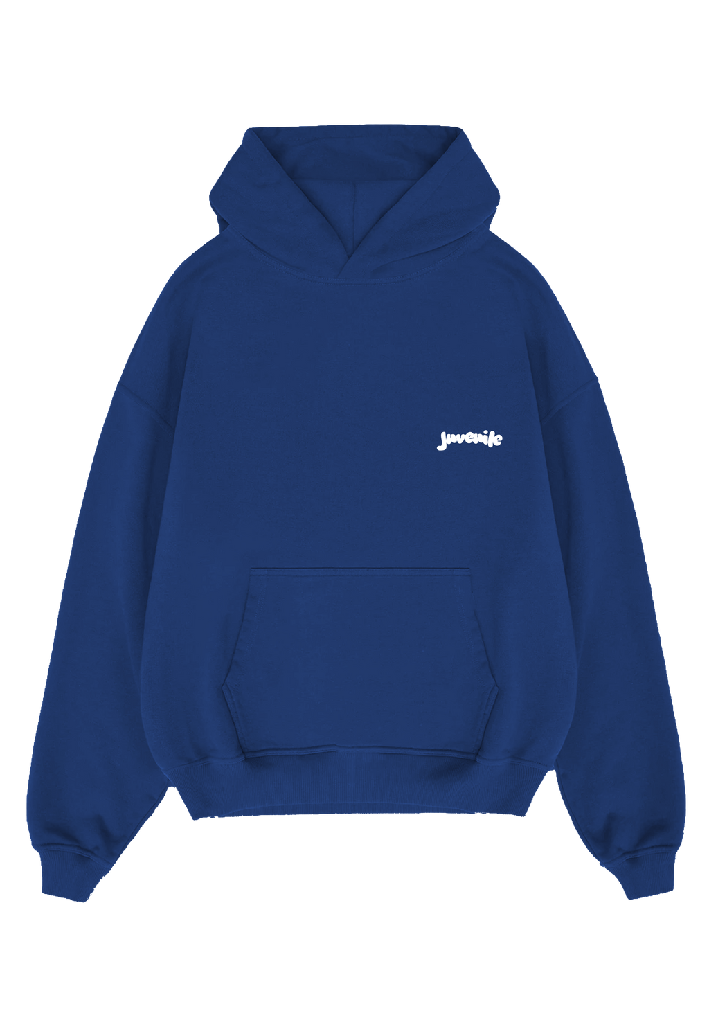 Blue R2 Hoodie