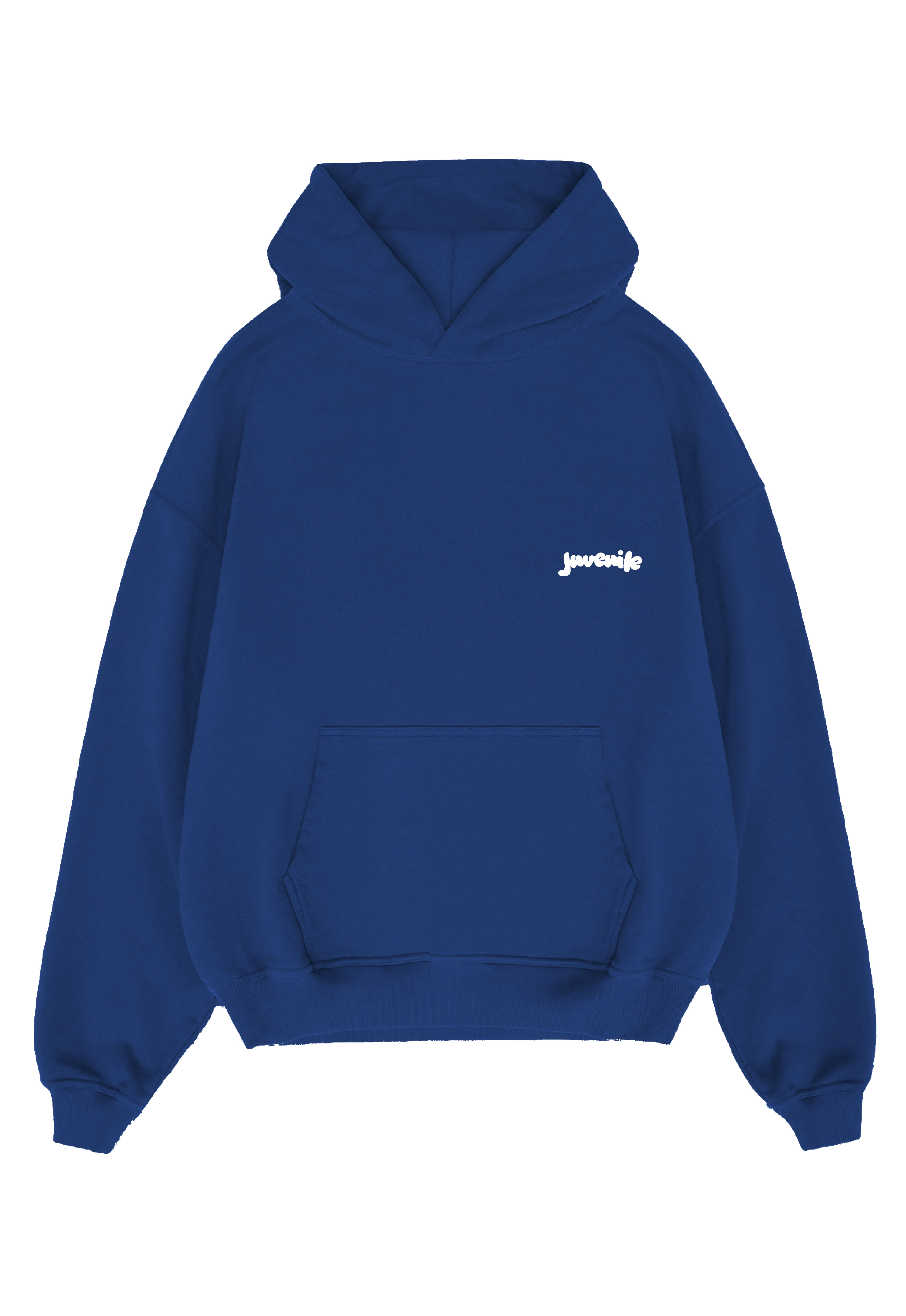 Blue R2 Hoodie