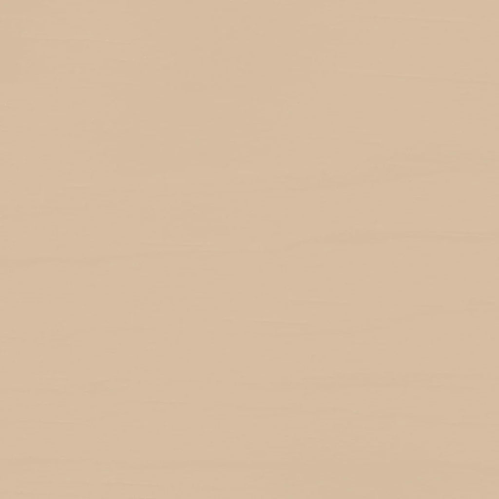 Women Regular Fit T-Shirt