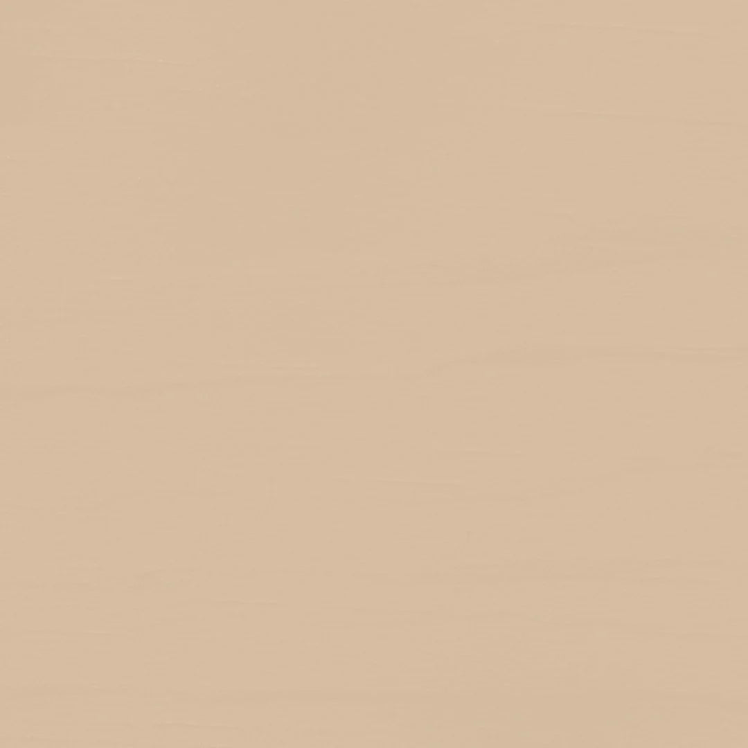 Women Regular Fit T-Shirt
