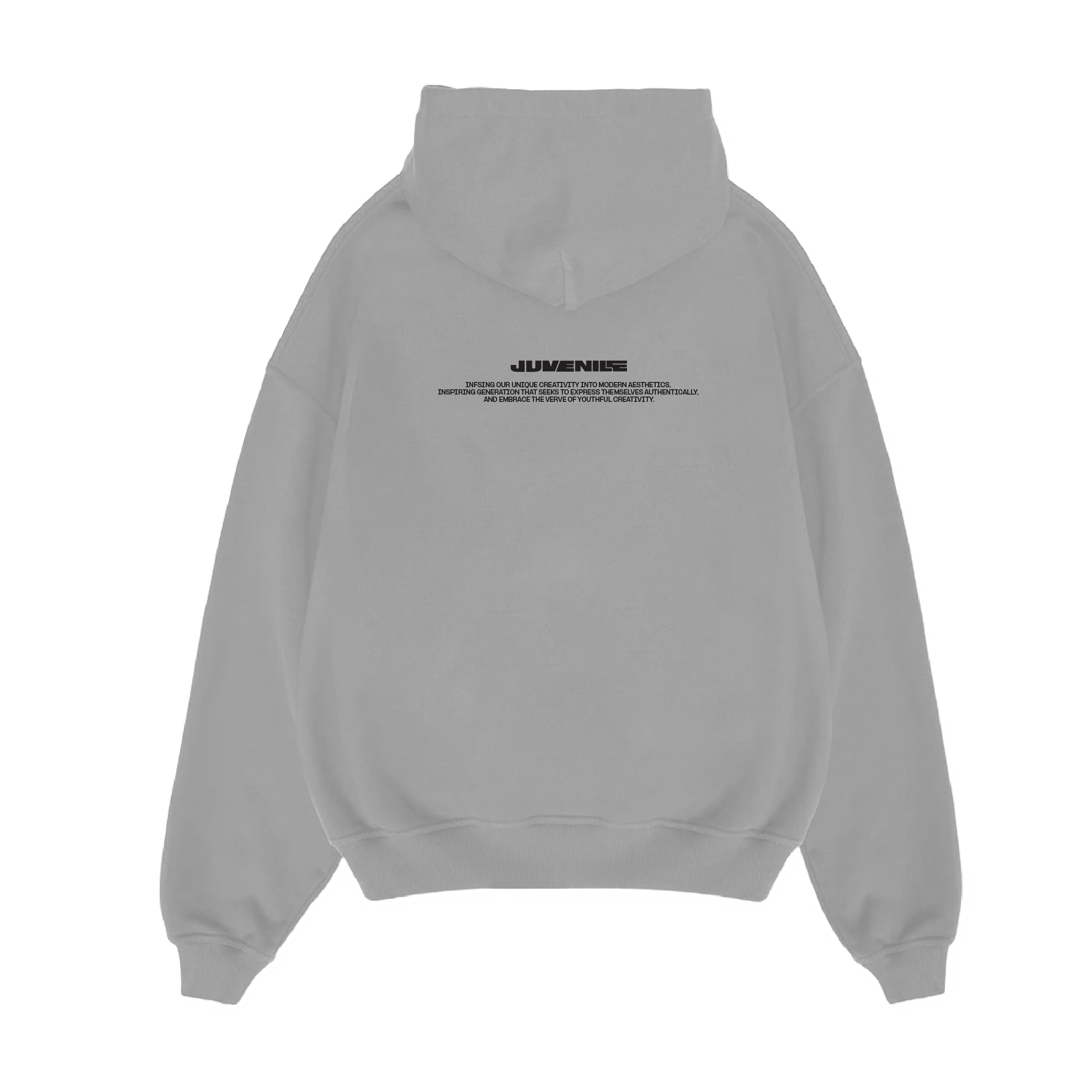 BRIO V1 Hoodie
