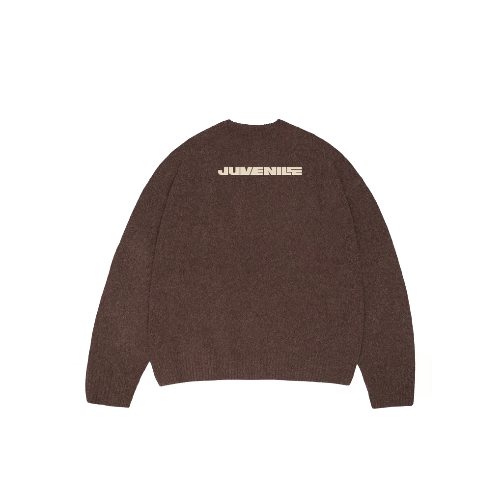 Brown VRV Logo Knit Sweater